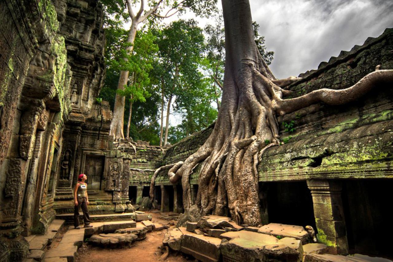 Green Empire Resort Siem Reap Eksteriør billede